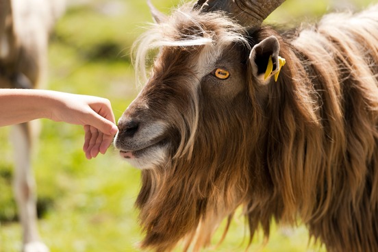 condition haphephobia Of You Phobias Heard Probably Phobophobia 10 Haven't condition haphephobia Of You Phobias Heard Probably Phobophobia 10 Haven't