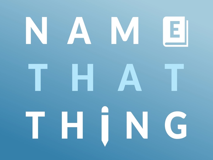 name that thing