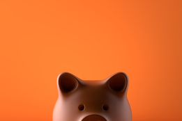 a-piggy-bank