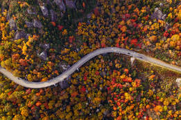 a-top-down-image-of-road-through-an-autumn-forest