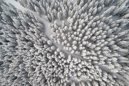 an-aerial-view-of-a-path-in-a-snow-covered-forest