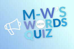 m-ws-new-words-quiz