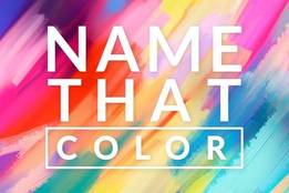 name-that-color-logo