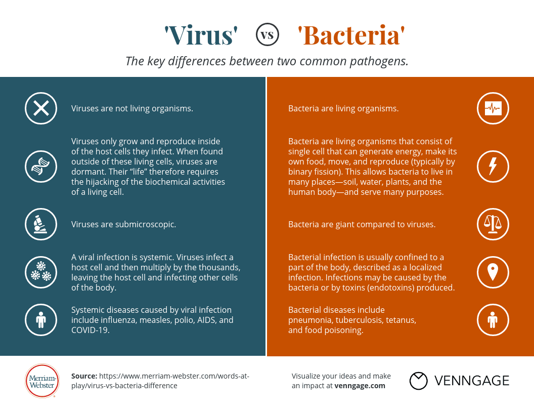 Virus Vs Bacteria What Is The Difference Merriam Webster