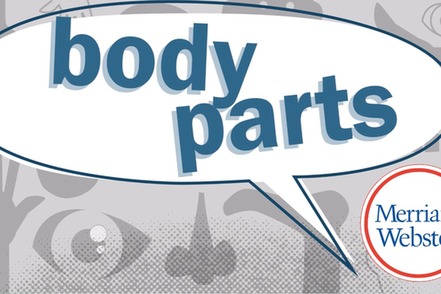body parts video