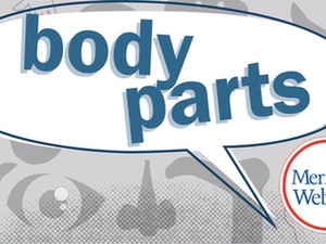 body-parts-video