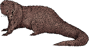 mongoose definition of mongoose